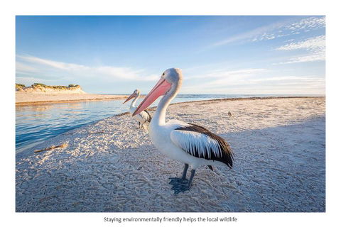Adelaide Luxury Beach House - Accommodation Port Hedland 25