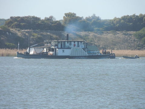PS Federal Retreat Paddle Steamer Goolwa - Accommodation Port Hedland 10