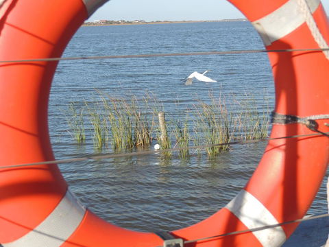 PS Federal Retreat Paddle Steamer Goolwa - Accommodation Port Hedland 18