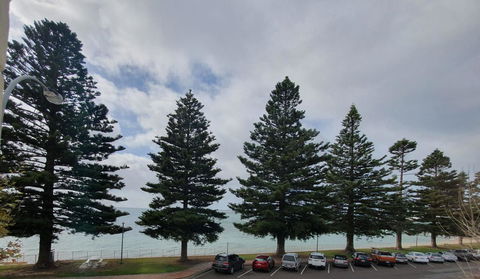 Pier Hotel Port Lincoln - Accommodation Port Hedland 12