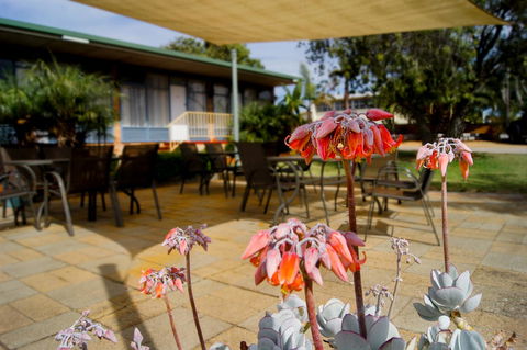 Kangaroo Island Seaview Motel - Accommodation Port Hedland 3