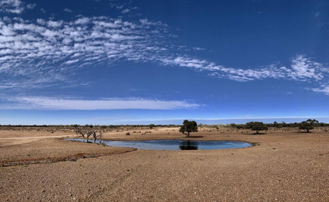 Opal Inn Hotel, Motel, Caravan Park - Accommodation Port Hedland 10
