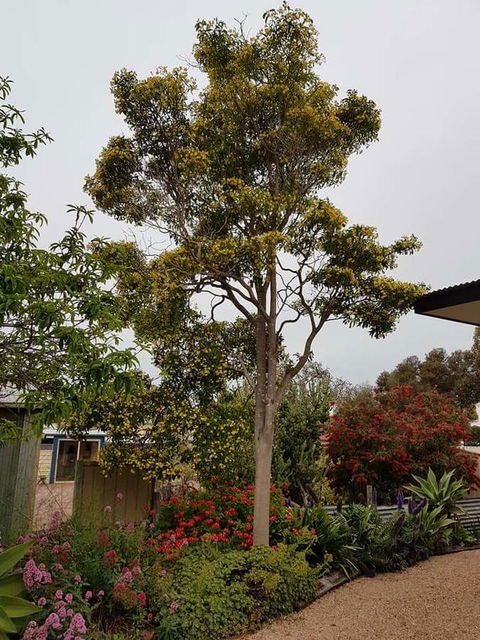 Sinclair Cottage - Accommodation Port Hedland 25