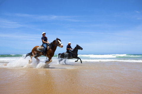 One Mile Retreat - Accommodation Port Hedland 26