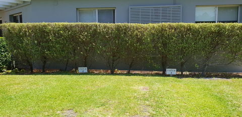 2 Austinmer Studio - Accommodation Port Hedland 12
