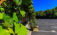 Country Roads Motor Inn Naracoorte - thumb 16
