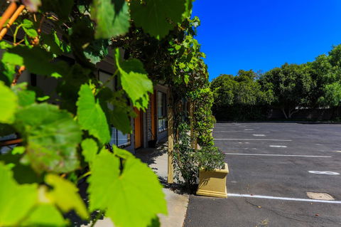 Country Roads Motor Inn Naracoorte - Accommodation Port Hedland 16