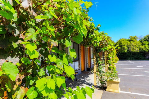 Country Roads Motor Inn Naracoorte - Accommodation Port Hedland 18