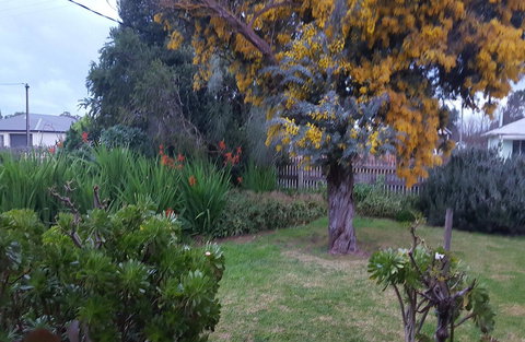 Ruby\'s Cottage - Accommodation Port Hedland 19