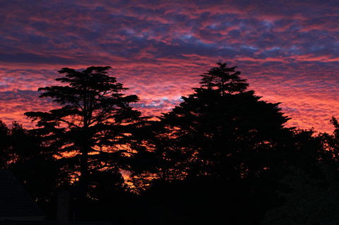 Pirralilla Estate Adelaide Hills - Accommodation Port Hedland 26