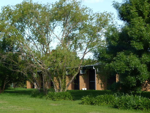 The Wine Vine Hotel - Accommodation Port Hedland 18