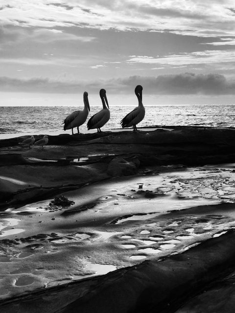 Stylish 3 Bedroom Beachview Apartment - Accommodation Port Hedland 22