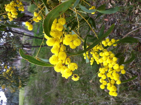Clare Valley Cabins - Accommodation Port Hedland 31