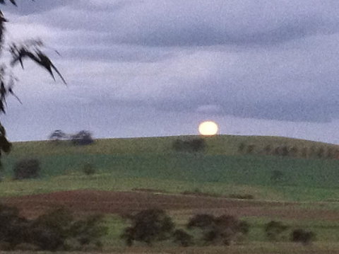 Clare Valley Cabins - Accommodation Port Hedland 41