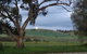 Clare Valley Cabins - thumb 10