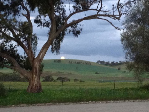 Clare Valley Cabins - Accommodation Port Hedland 10