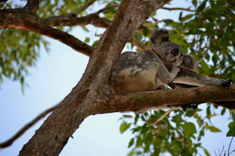 SummerHills Retreat Byron Bay - Accommodation Port Hedland 36