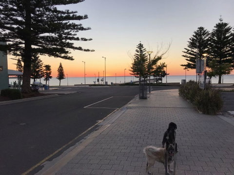 BIG4 Ceduna Tourist Park - Accommodation Port Hedland 34