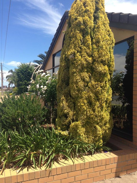 Aviators Lodge - Accommodation Port Hedland 9