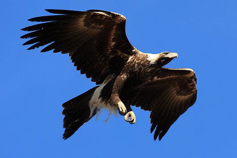 Eagles Range - Accommodation Port Hedland 16
