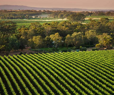 The Reserve Barossa Valley - Accommodation Port Hedland 1