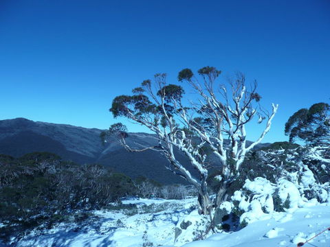 CHILL-OUT - Thredbo - Accommodation Port Hedland 33