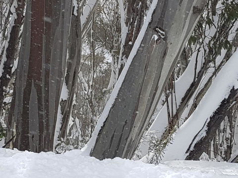 CHILL-OUT - Thredbo - Accommodation Port Hedland 30