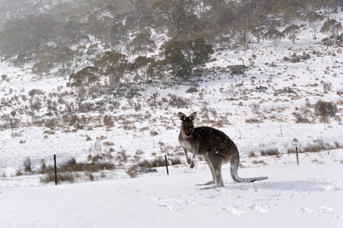 CHILL-OUT - Thredbo - Accommodation Port Hedland 27