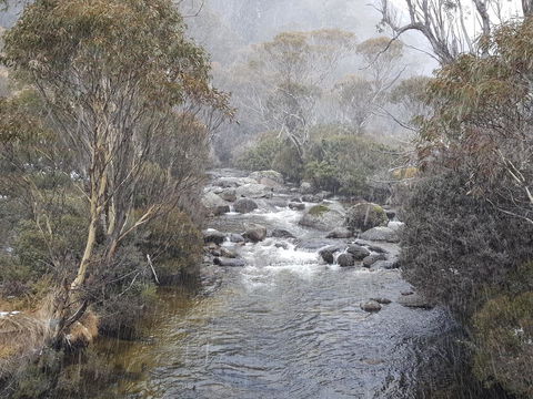 CHILL-OUT - Thredbo - Accommodation Port Hedland 23