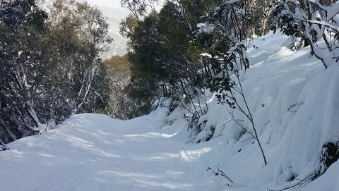 CHILL-OUT - Thredbo - Accommodation Port Hedland 17