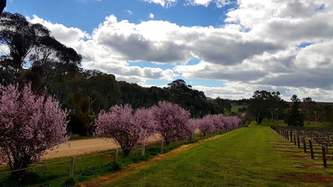D2 At Watervale - Accommodation Port Hedland 22