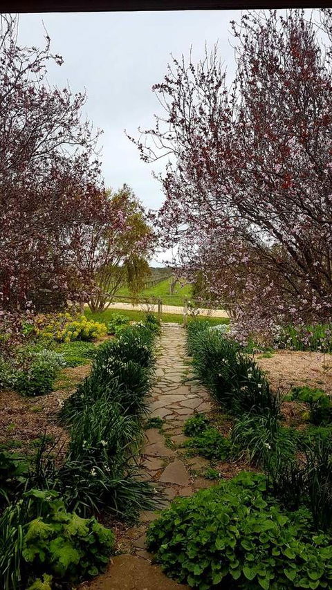 D2 At Watervale - Accommodation Port Hedland 4