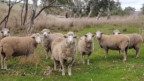 D2 At Watervale - Accommodation Port Hedland 24