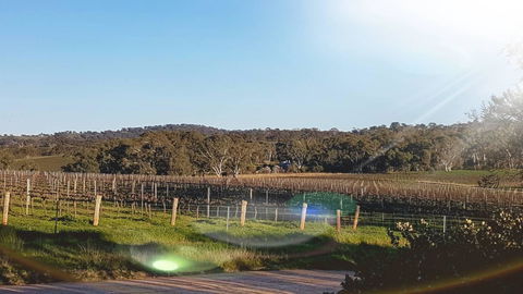 D2 At Watervale - Accommodation Port Hedland 23