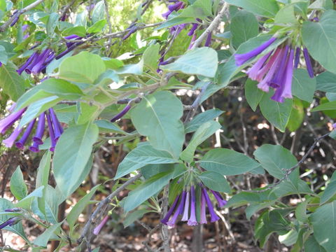 A Secret Garden - Accommodation Port Hedland 11