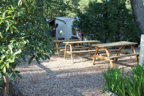 Millicent Hillview Caravan Park - Accommodation Port Hedland 9