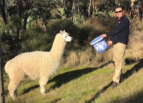 Shiraz Cottage - Accommodation Port Hedland 14