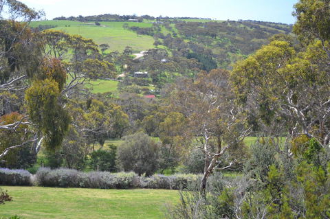 Shiraz Cottage - Accommodation Port Hedland 8