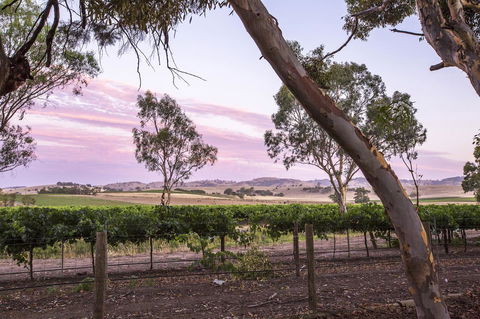 Jasmine\'s Barossa Valley Cottage - Accommodation Port Hedland 19