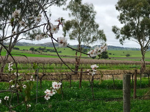 Jasmine\'s Barossa Valley Cottage - Accommodation Port Hedland 20