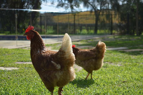 Amande Bed And Breakfast - Accommodation Port Hedland 20