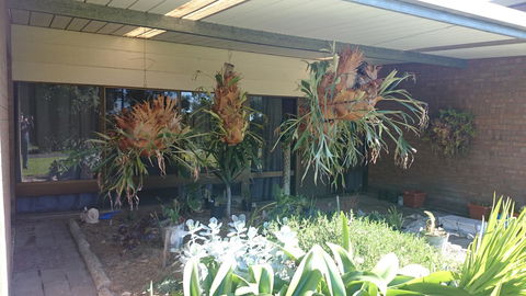 Hilltop Escape - Accommodation Port Hedland 11