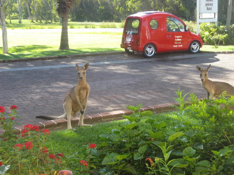 Aston Motel Yamba - Accommodation Port Hedland 6