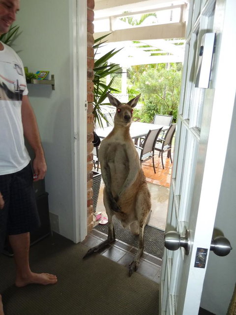 Aston Motel Yamba - Accommodation Port Hedland 10