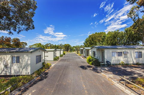 Echo Holiday Parks - Naracoorte - Accommodation Port Hedland 7
