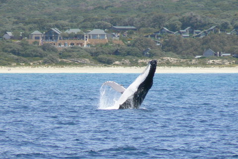 Pullman Bunker Bay Resort Margaret River - Accommodation Port Hedland 25