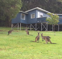 Blue House Denmark - Accommodation Port Hedland