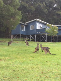 Book Denmark Accommodation Vacations Accommodation Port Hedland Accommodation Port Hedland