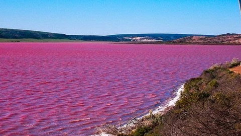 Kanga Cottage - Accommodation Port Hedland 38