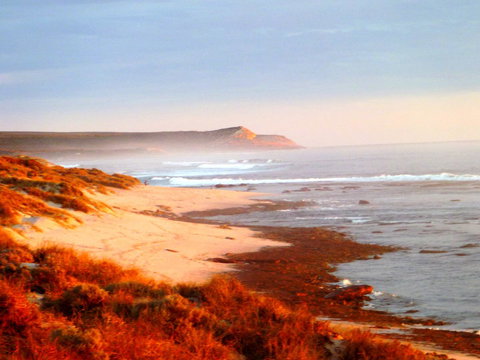 Kanga Cottage - Accommodation Port Hedland 26